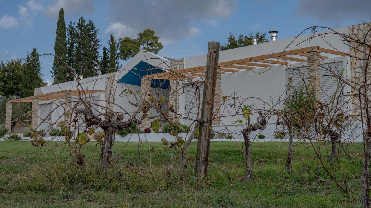 Apartamento Atrium Vinea Brintziki Winery Smila Exterior foto