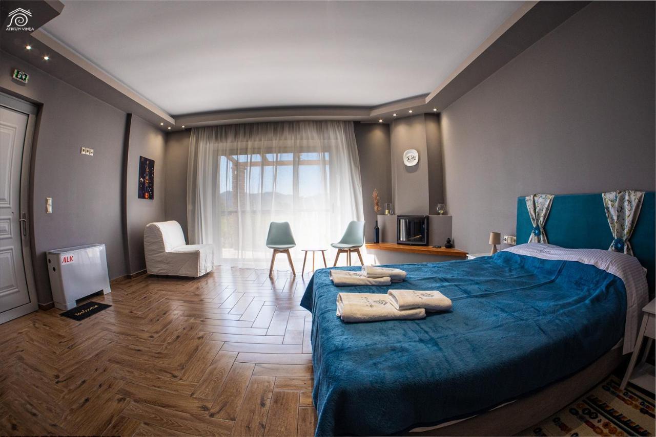 Apartamento Atrium Vinea Brintziki Winery Smila Exterior foto