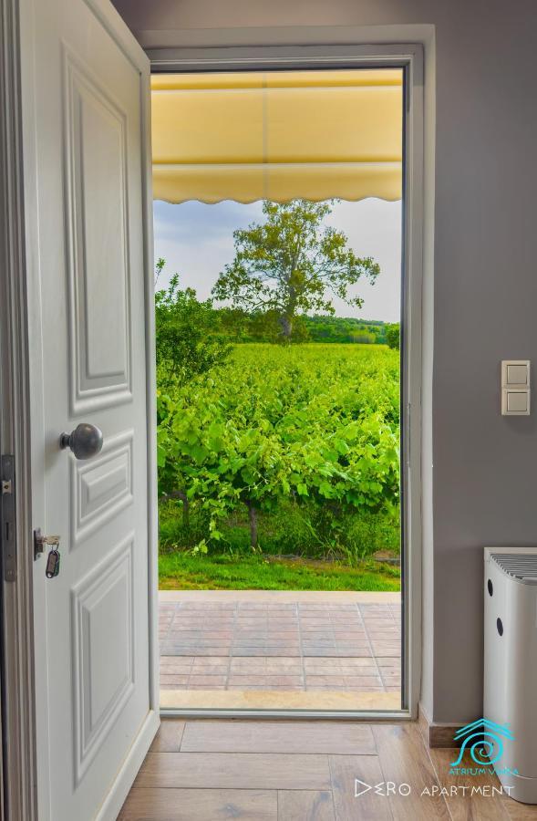 Apartamento Atrium Vinea Brintziki Winery Smila Exterior foto